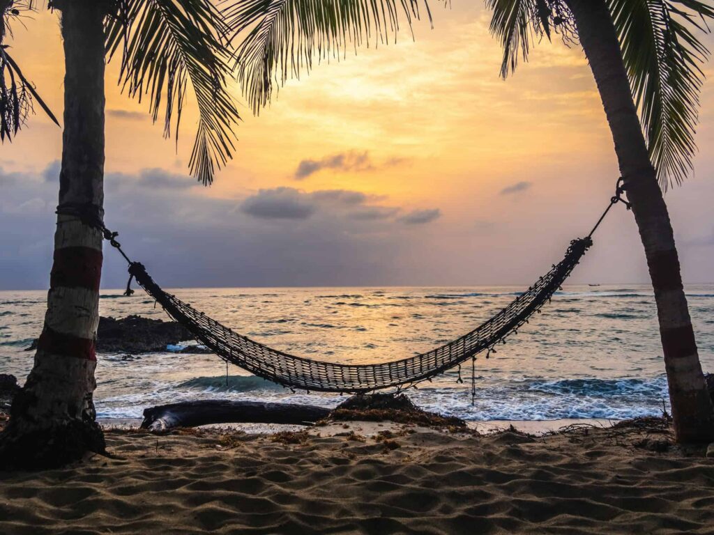 Sabbatical - Hammock between two palm trees on the beach at sunset